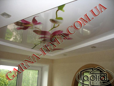 каталог натяжних стель